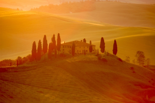 Early morning light in Tuscany.